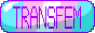 transfemme button